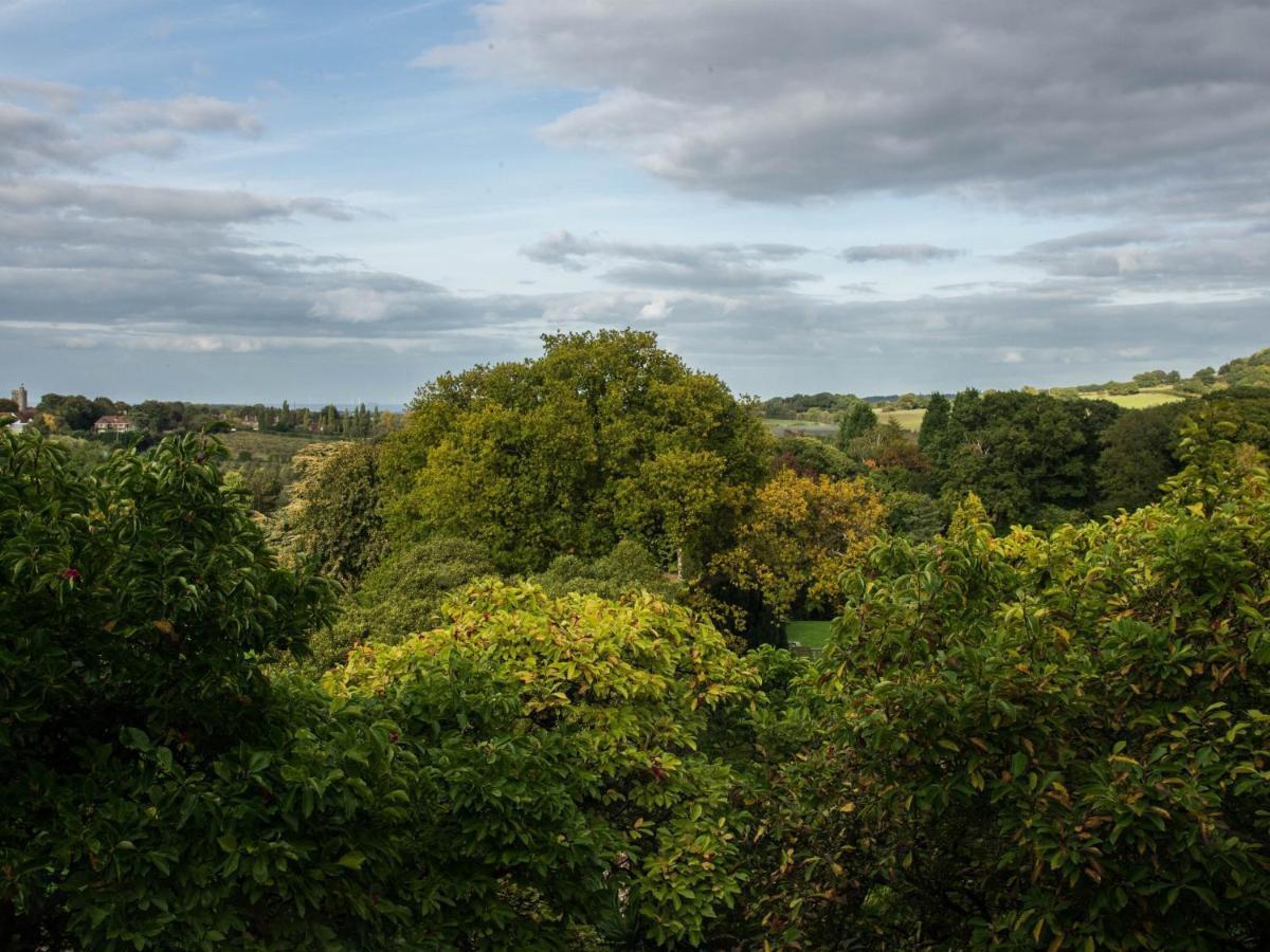 Mount Ephraim B&B Hernhill エクステリア 写真